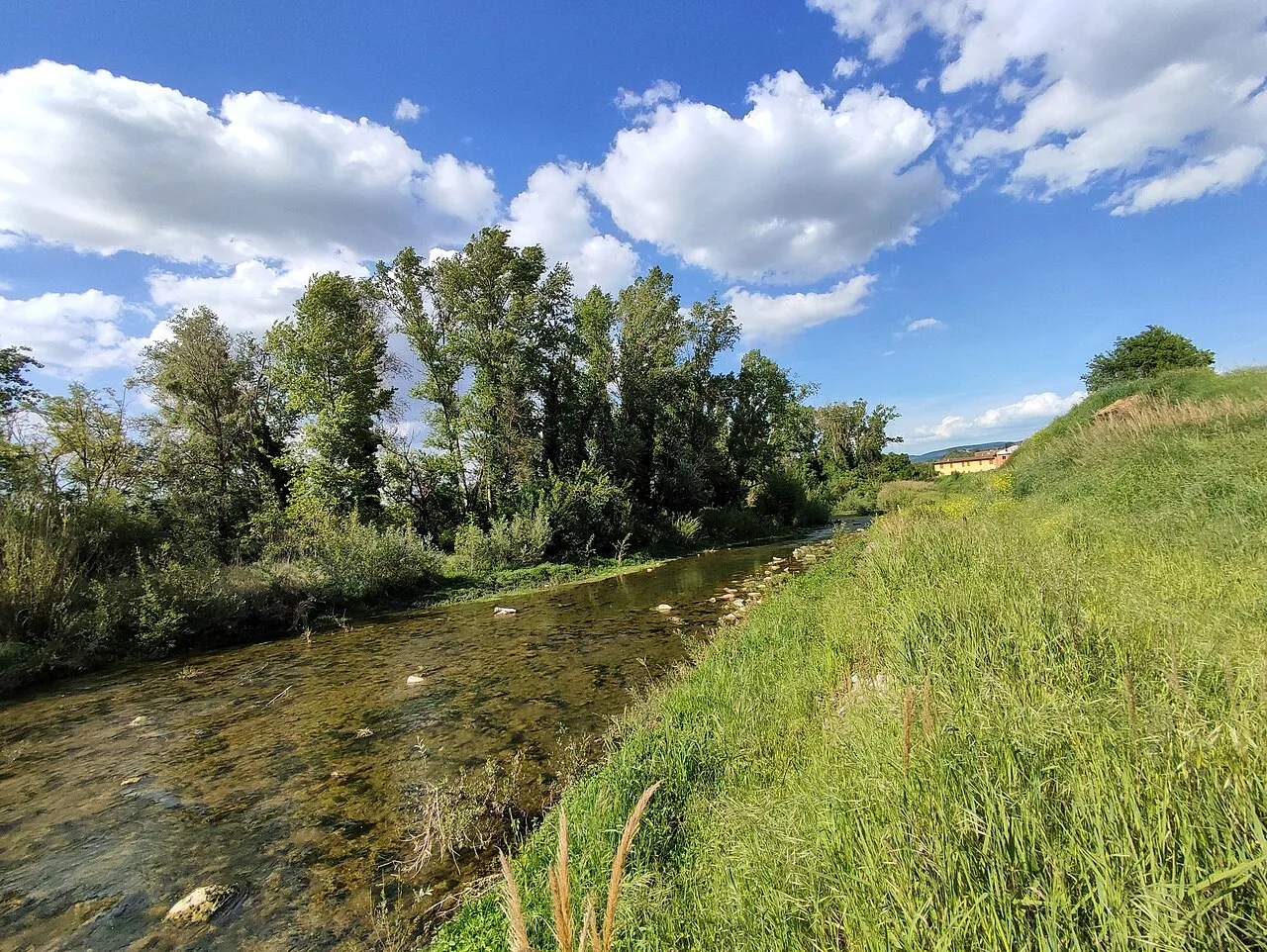 Corso d’acqua nella Valdichiana