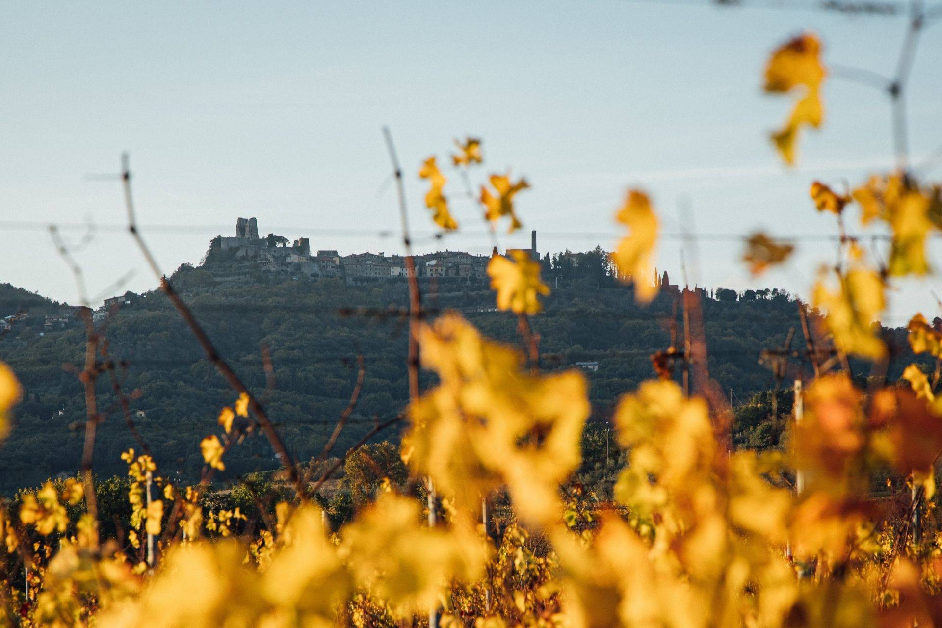 Civitella In Val Di Chiana