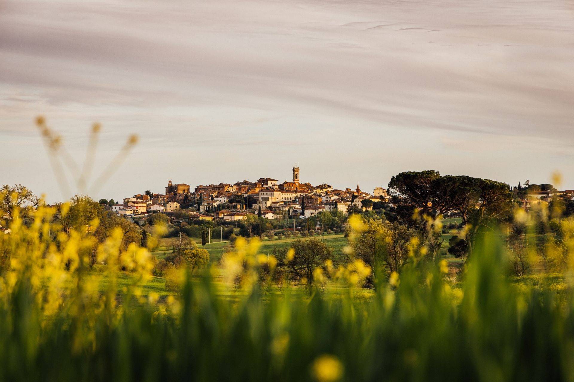 Foiano Della Chiana