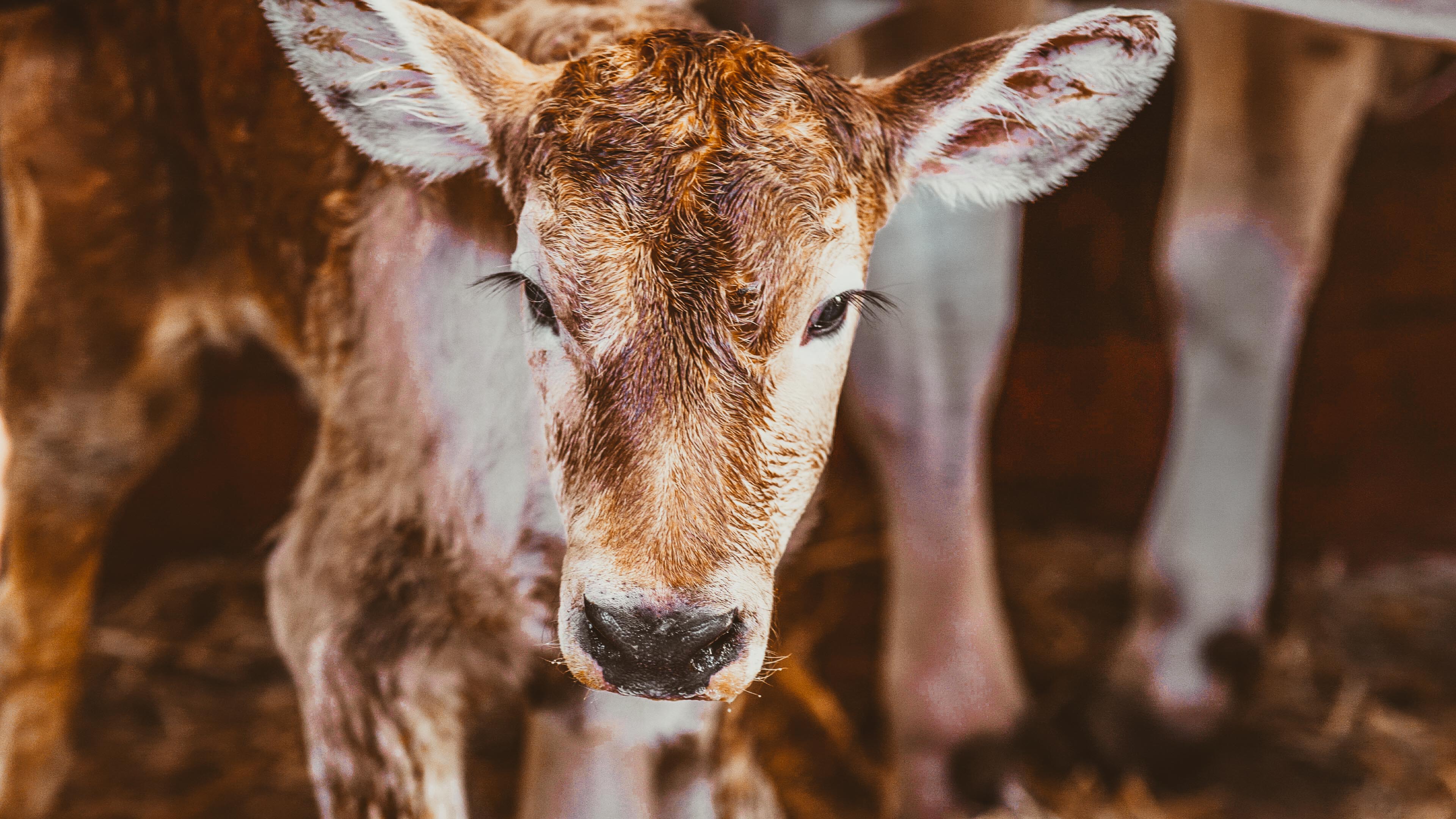 foto varie prove-40