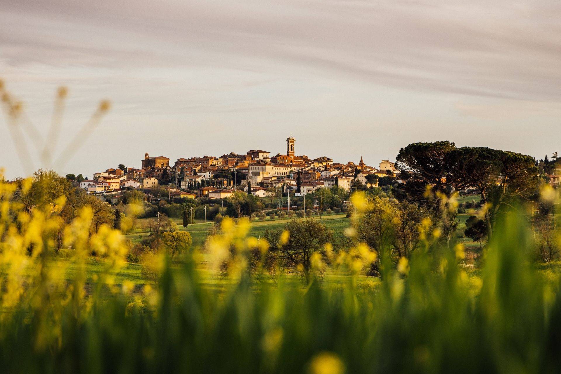 Foiano Della Chiana