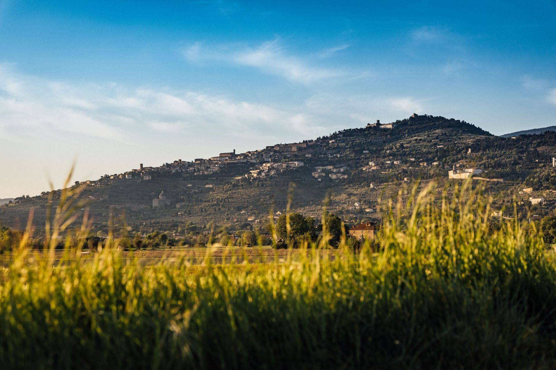 Cortona