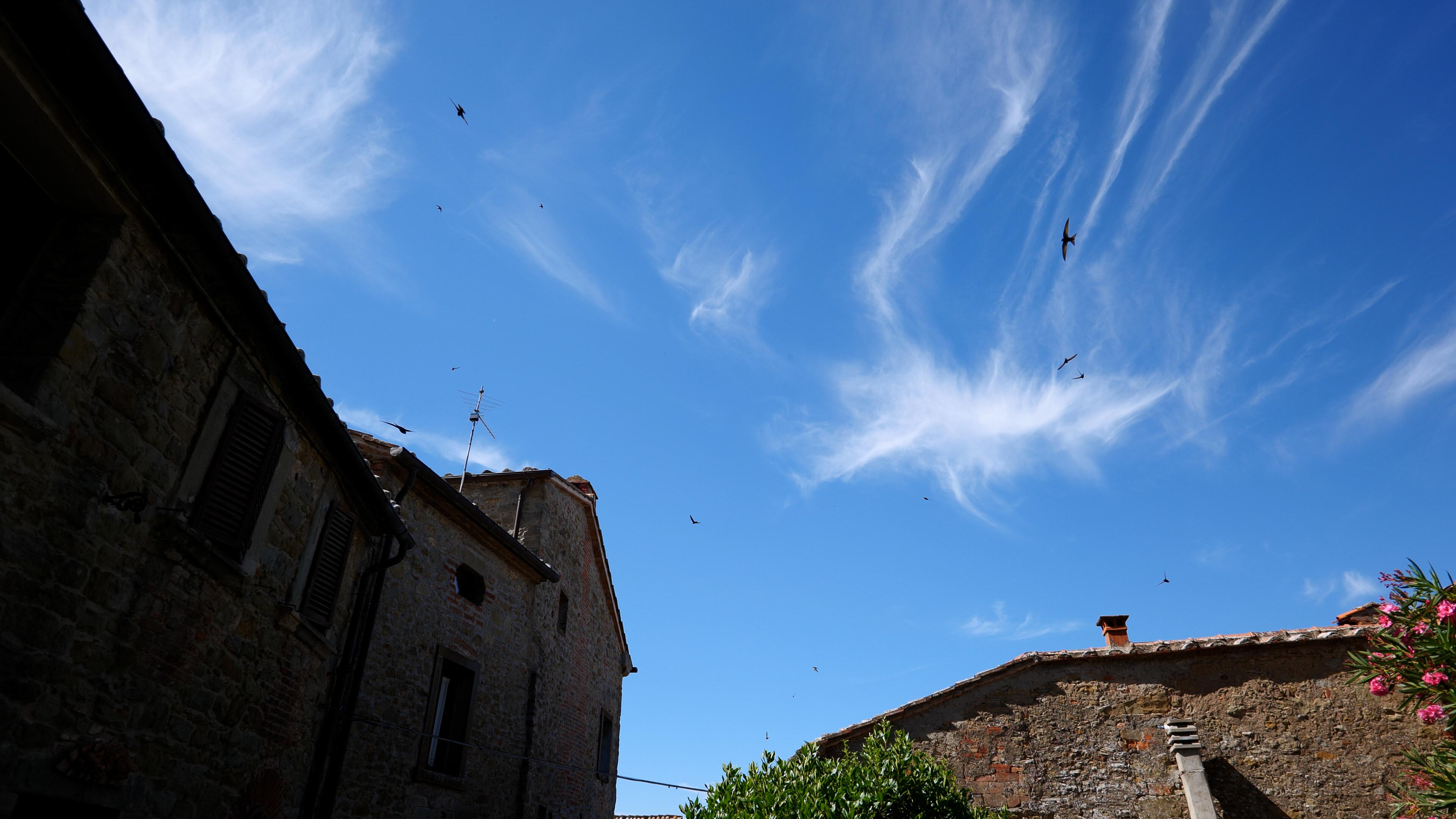 foto varie prove-3-2