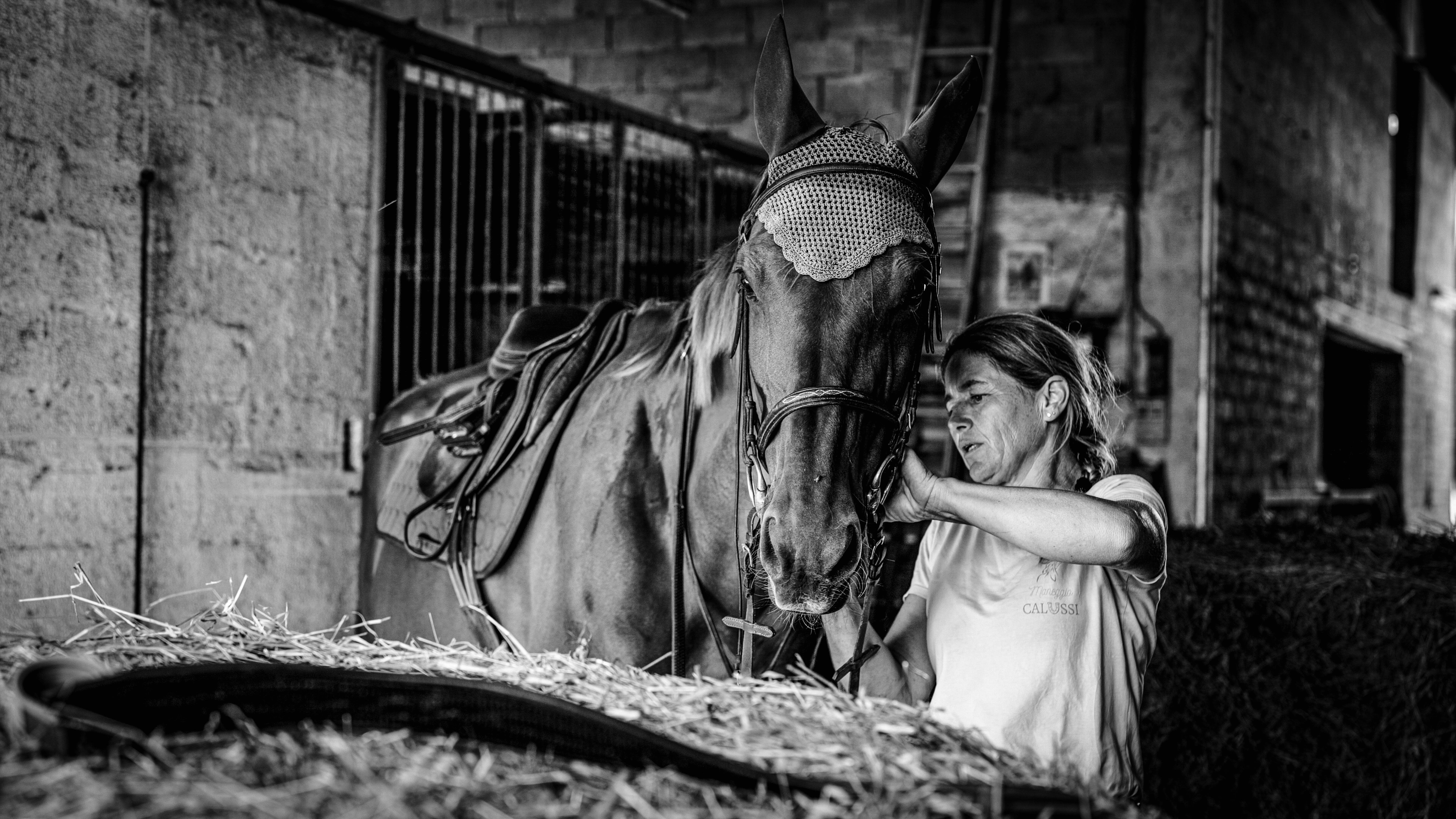cavallo maneggio(21)