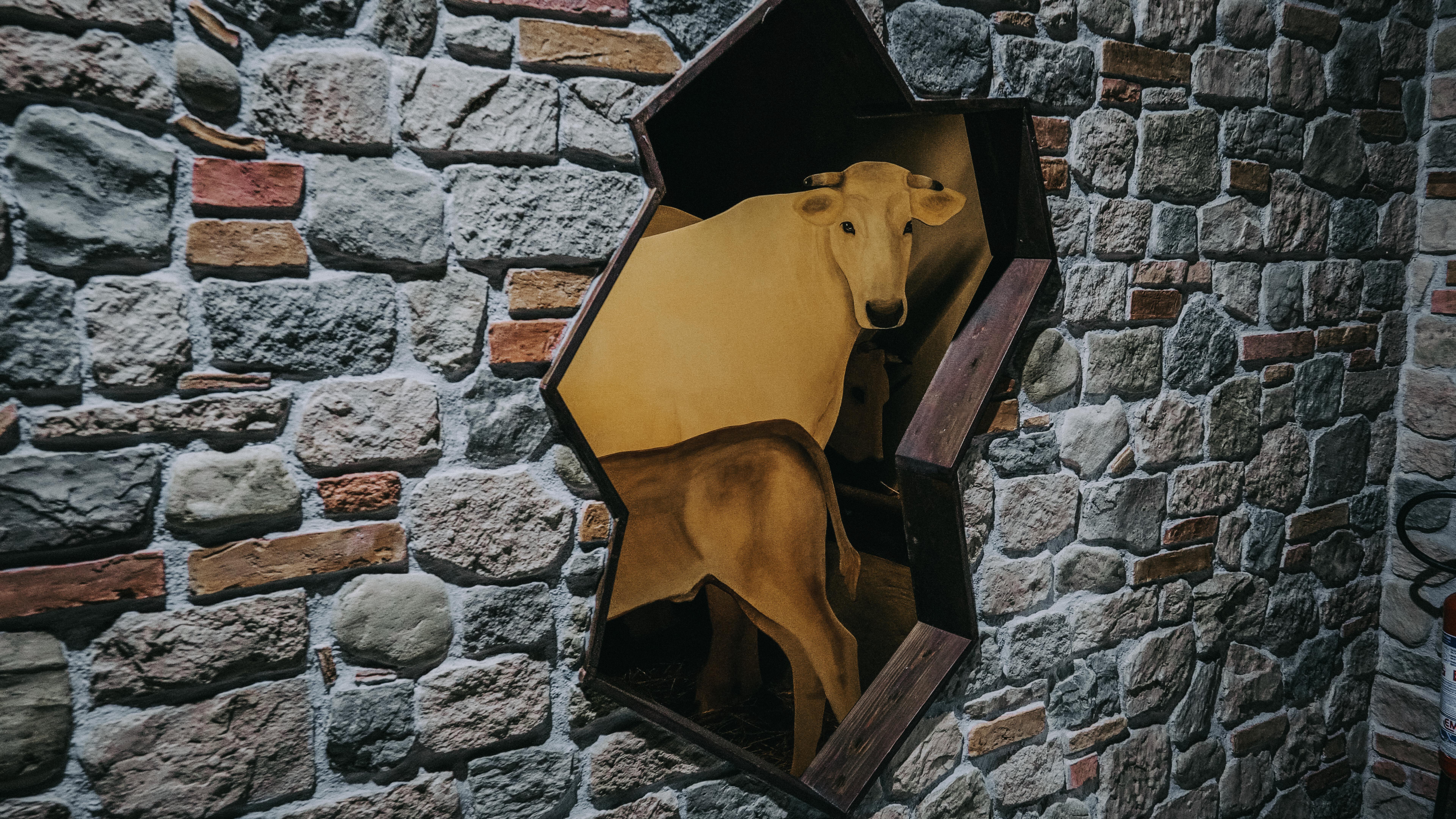 Museo ai borghi_Cortona(22)